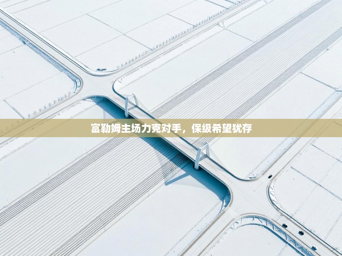 富勒姆主场力克对手,保级希望犹存 第1张