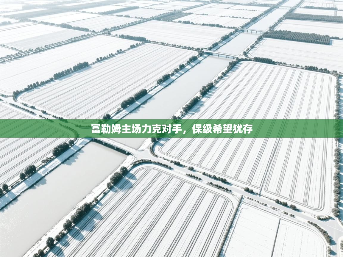 富勒姆主场力克对手,保级希望犹存 第2张