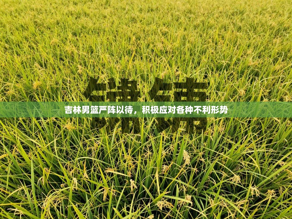 吉林男篮严阵以待，积极应对各种不利形势  第1张